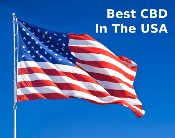 Best CBD Oil Brands In The USA