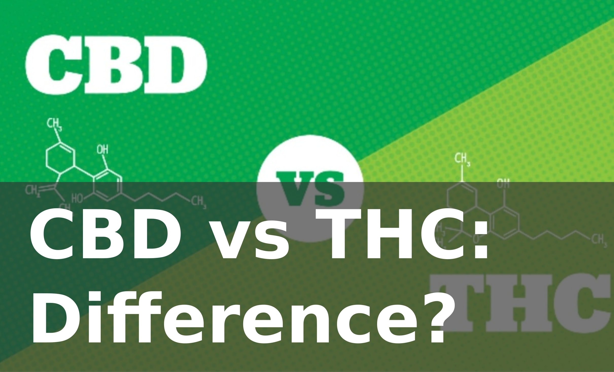 CBD vs. THC - What are the Differences?